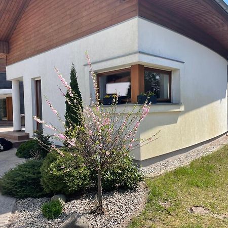 Apartament Przy Lesie Chojno-Blota Wielkie Dış mekan fotoğraf
