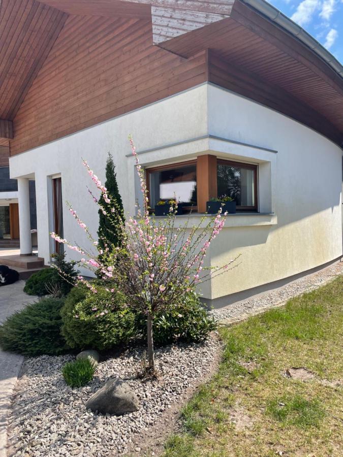 Apartament Przy Lesie Chojno-Blota Wielkie Dış mekan fotoğraf