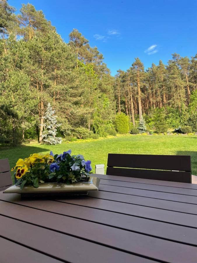 Apartament Przy Lesie Chojno-Blota Wielkie Dış mekan fotoğraf