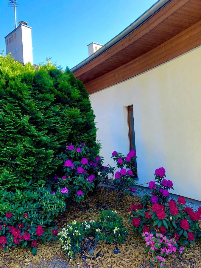 Apartament Przy Lesie Chojno-Blota Wielkie Dış mekan fotoğraf